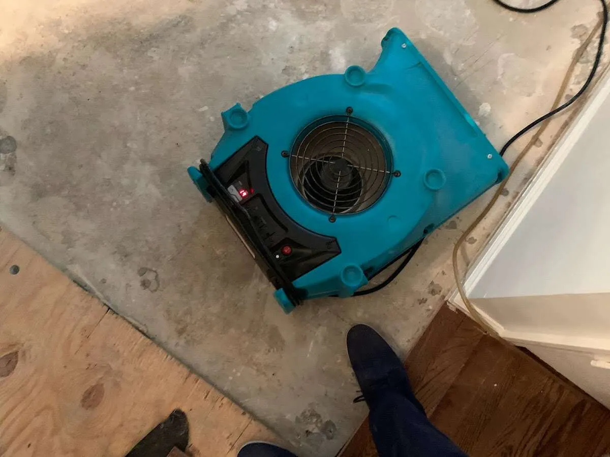 Air mover drying subfloor during Commercial Water Damage Restoration in Sea Cliff